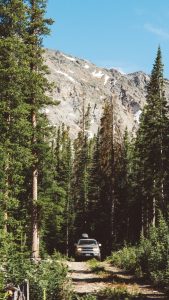 شرکت خدماتی نوین